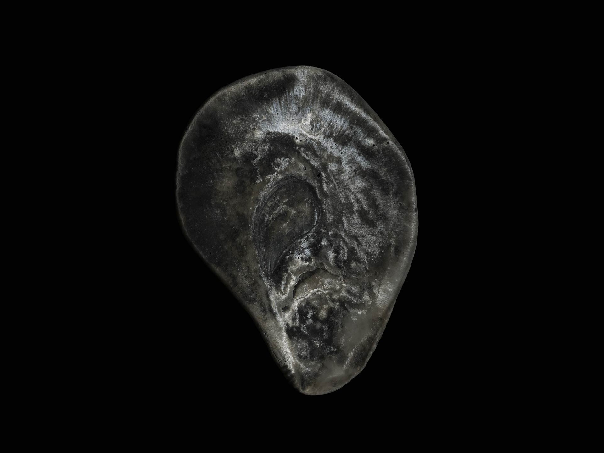 digitale Photographie ©Lorenz Obermeier