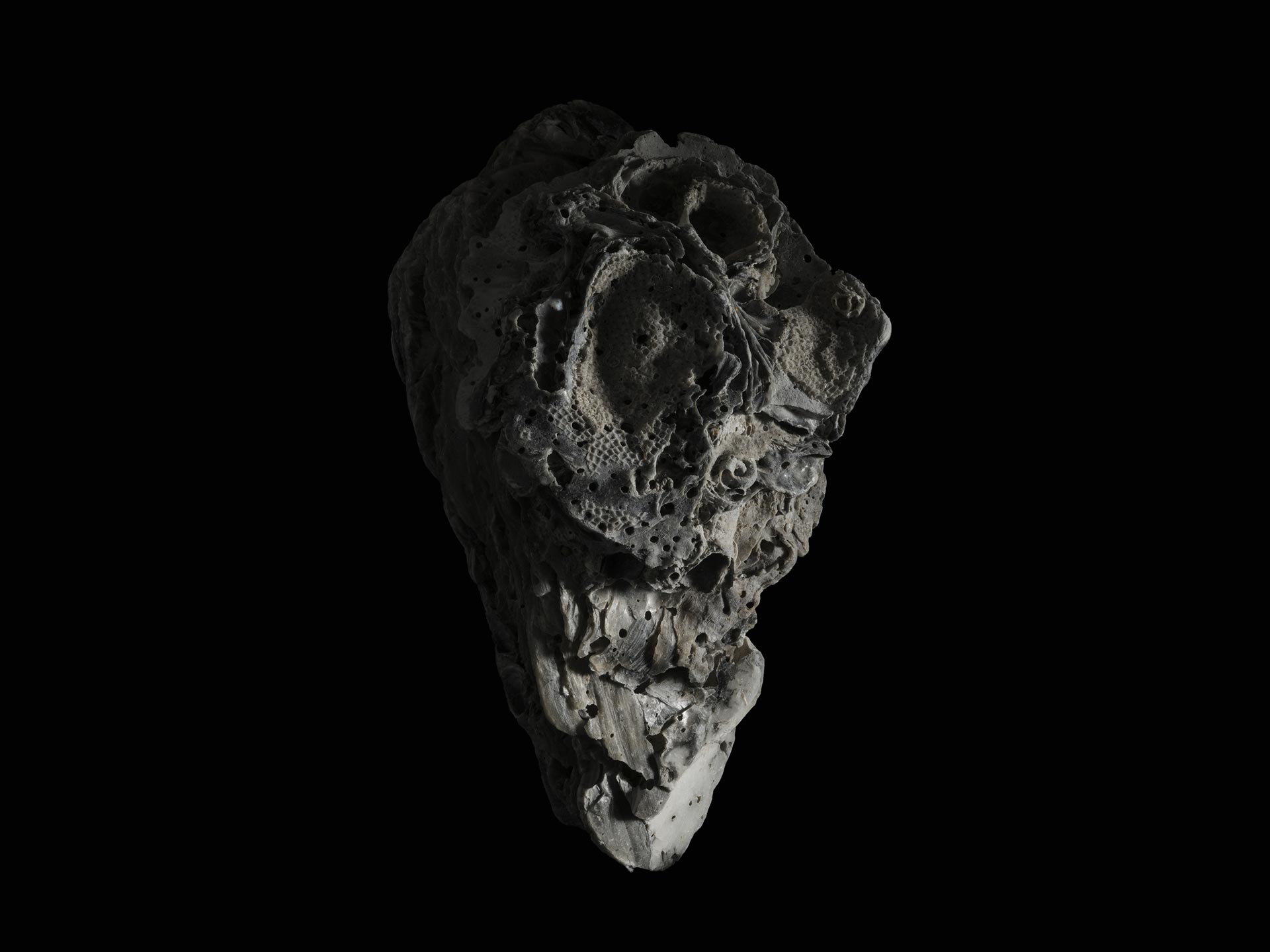 digitale Photographie ©Lorenz Obermeier