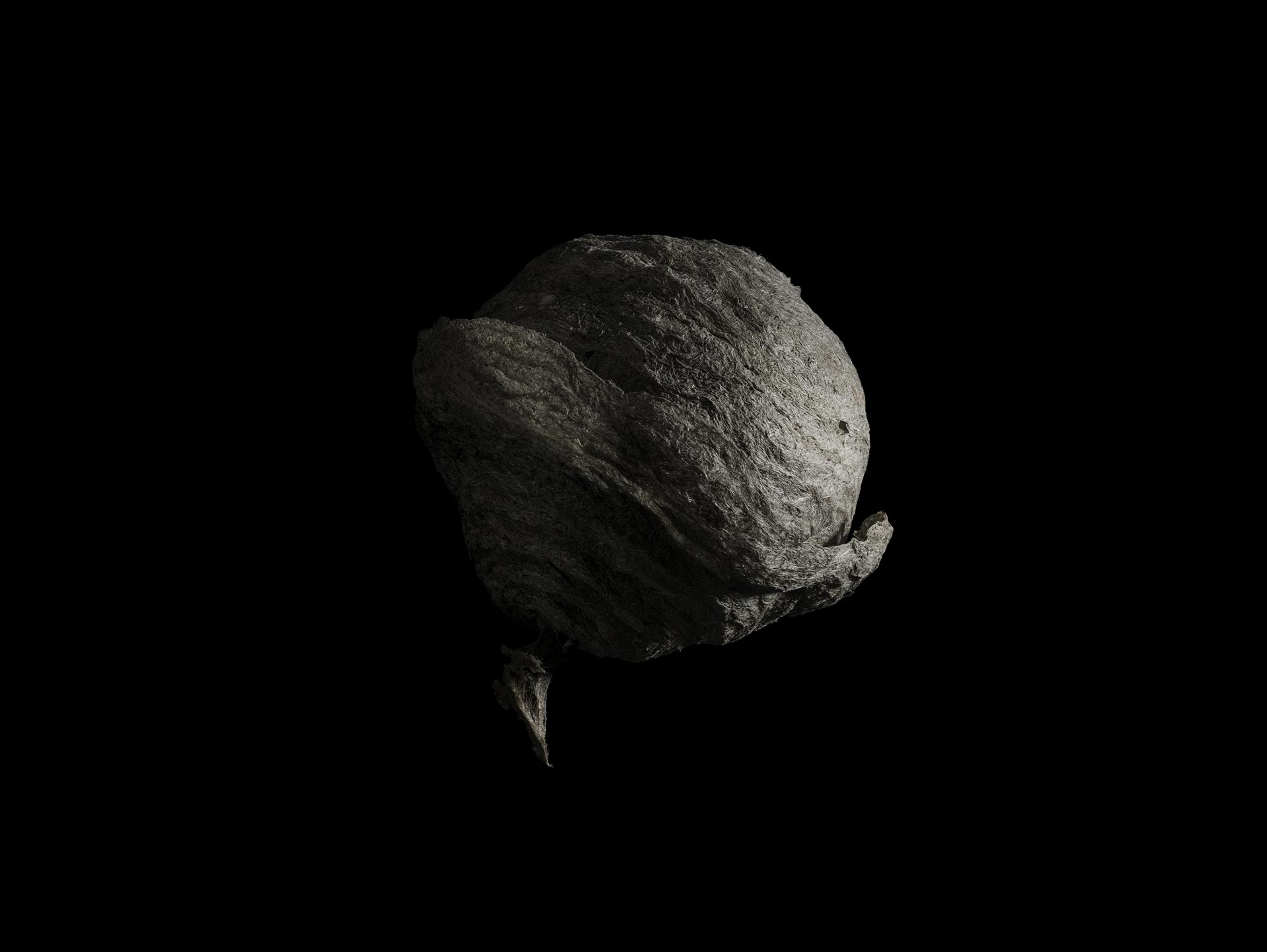 digitale Photographie ©Lorenz Obermeier