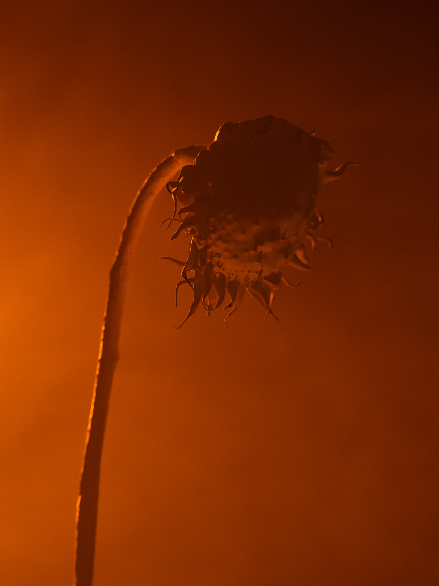 Installationsansicht ©Lorenz Obermeier